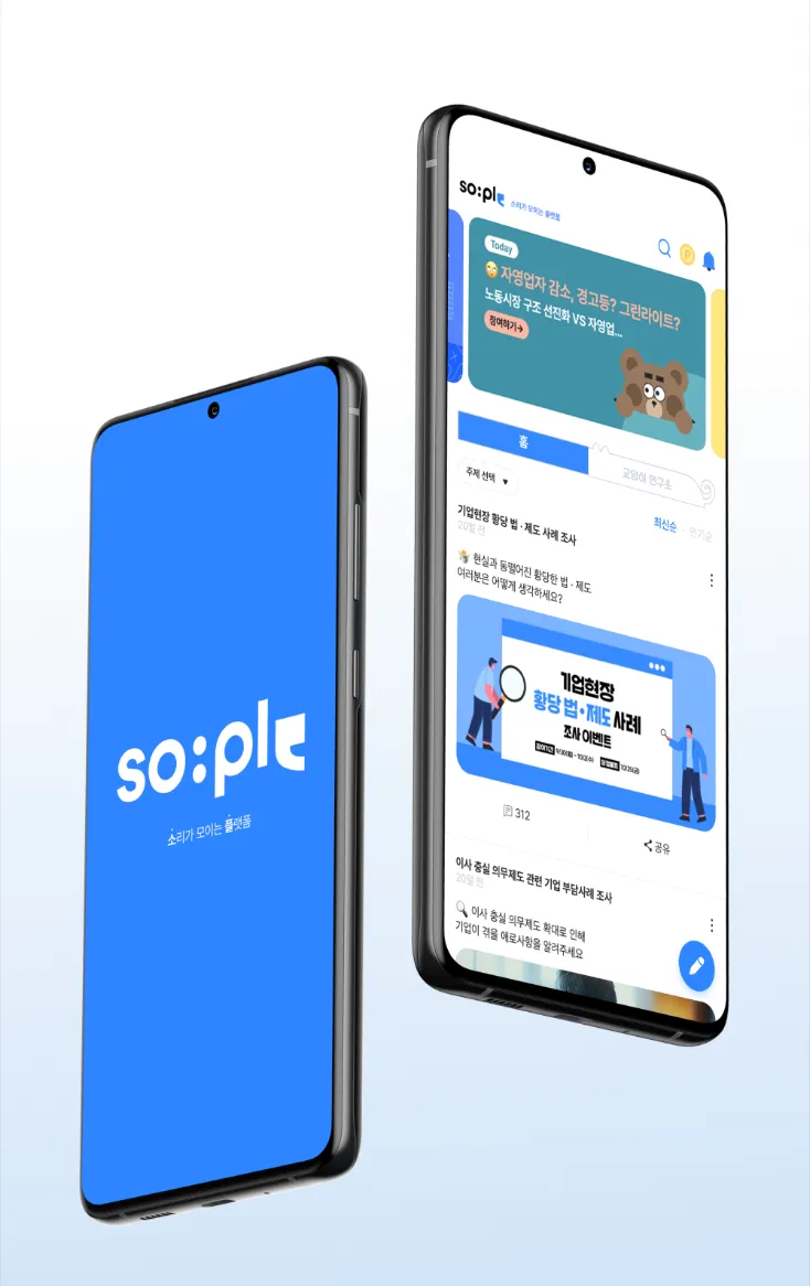 소플 고도화 2차